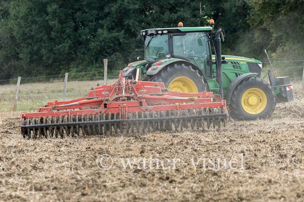1161D650