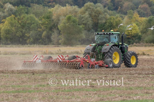 1162D950