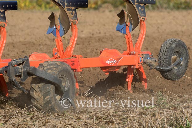 1163D295