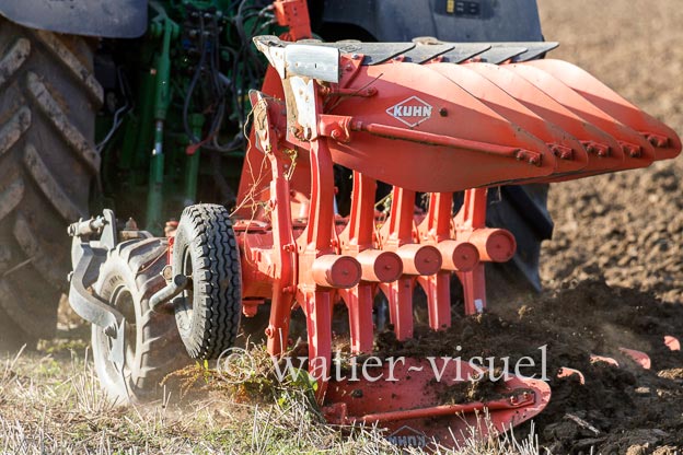 1163D299