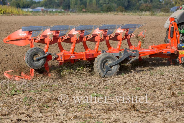 1163D310