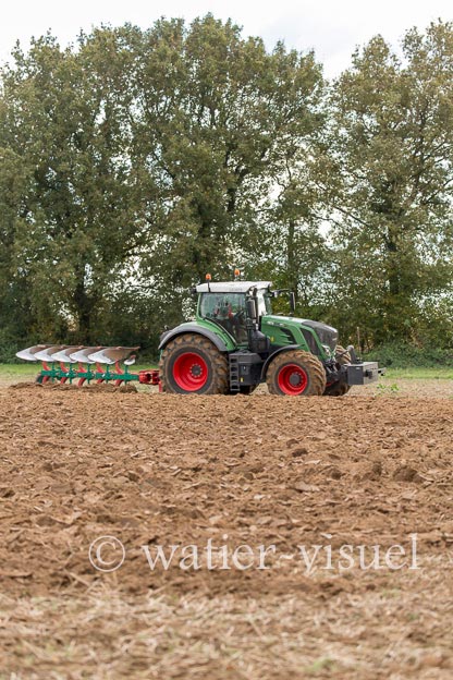 1165D800