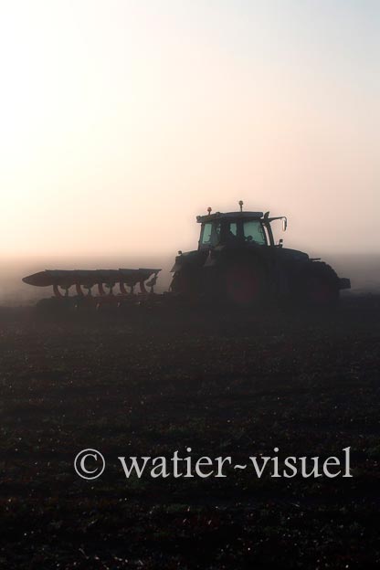 1166D989