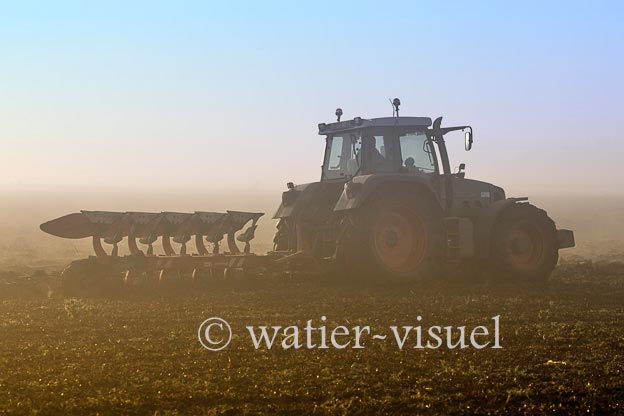 1166D990
