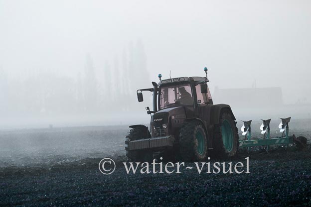 1167D002