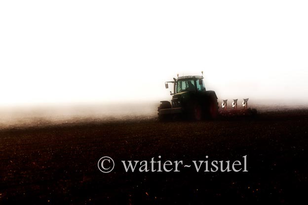 1167D003