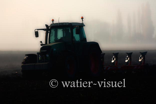1167D005