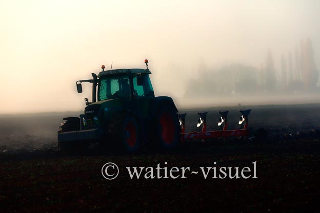 1167D006
