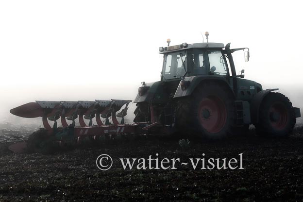 1167D012