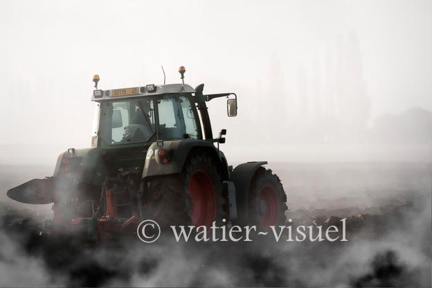 1167D018