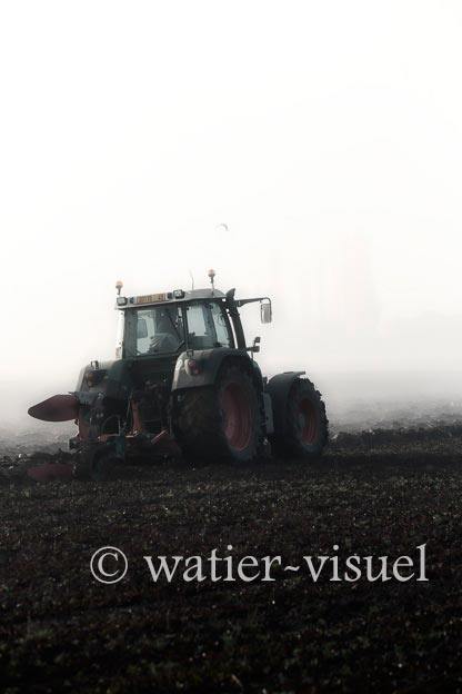 1167D019