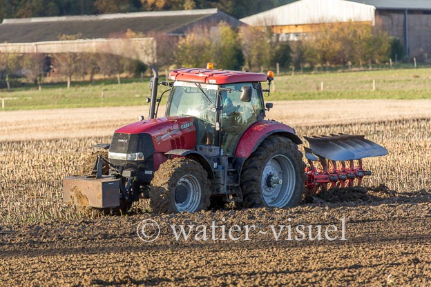 1167D411