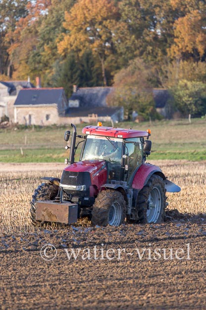 1167D417