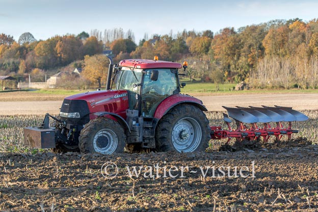 1167D420