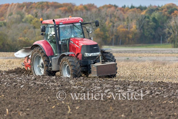 1167D450