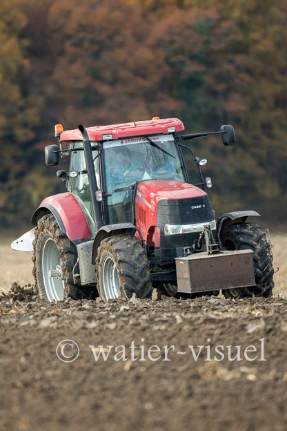 1167D496