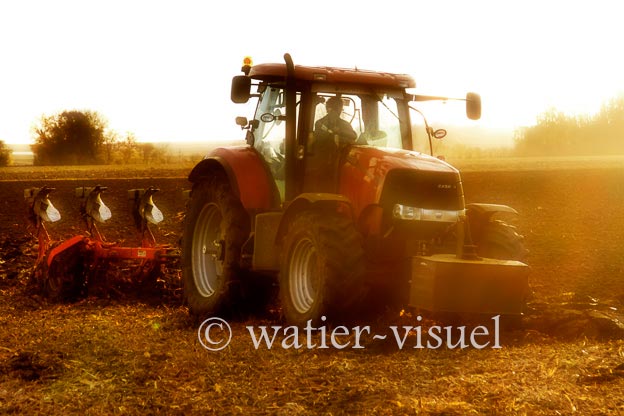 1167D498