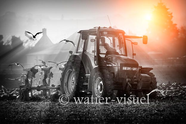 1169D102