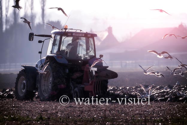 1169D106