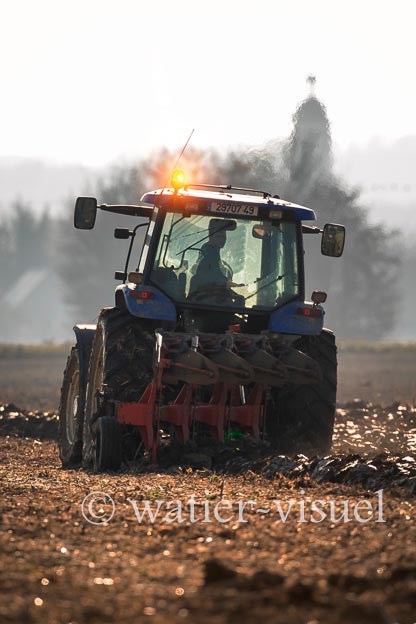 1169D130