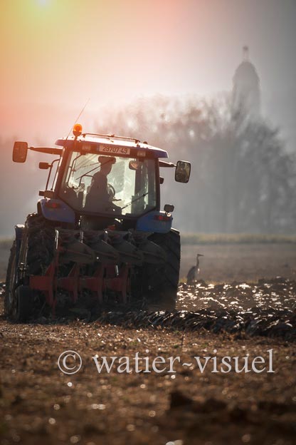 1169D131