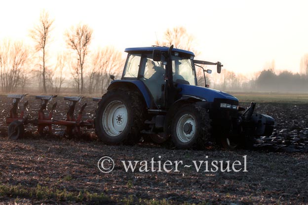 1169D150