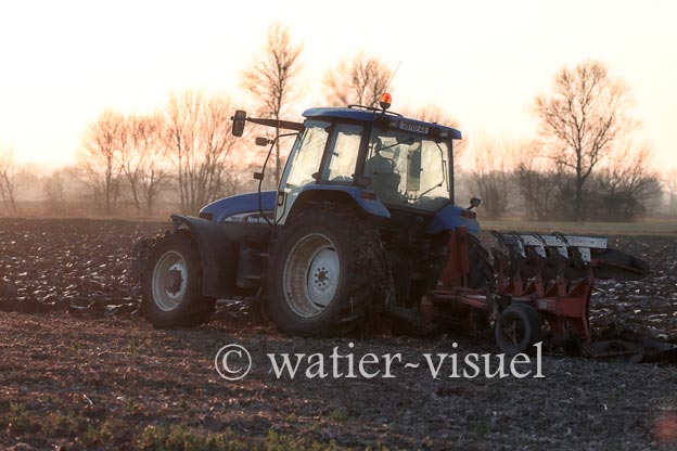 1169D151