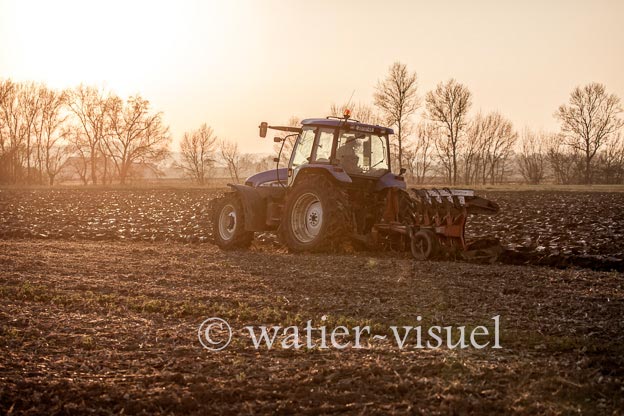 1169D152