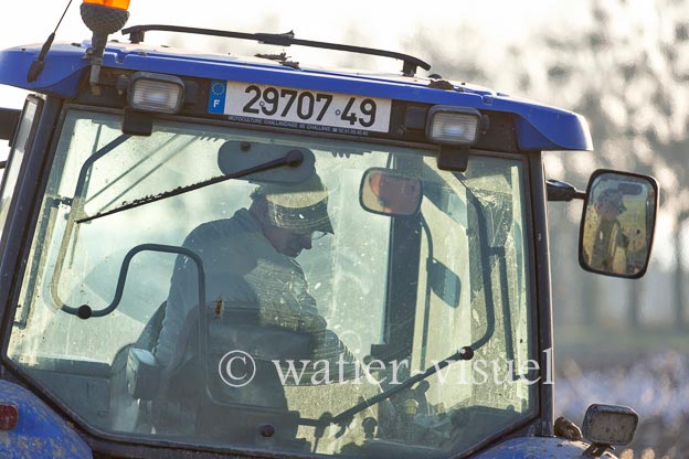 1169D172
