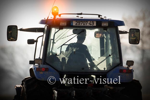 1169D175