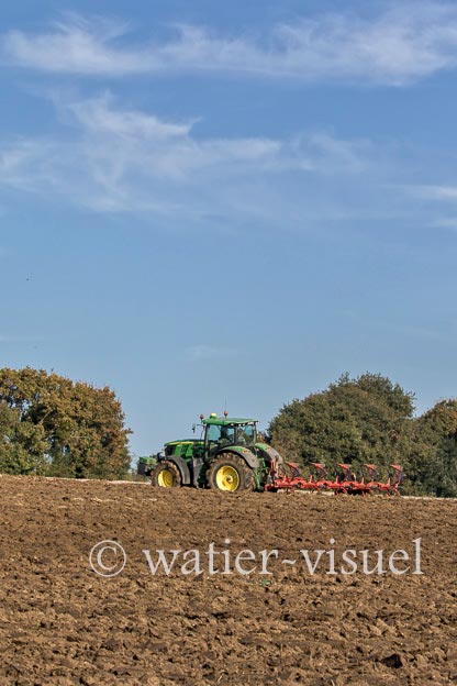 1169D307