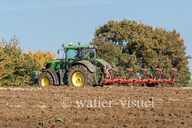 1169D309