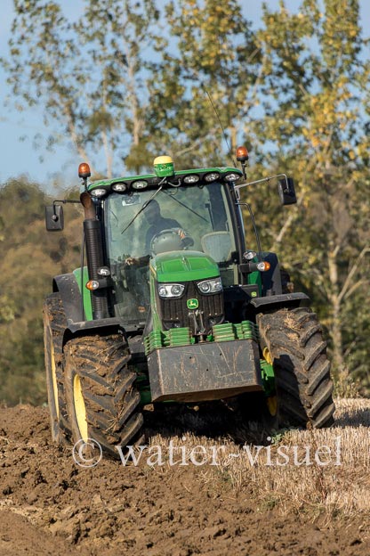 1169D310