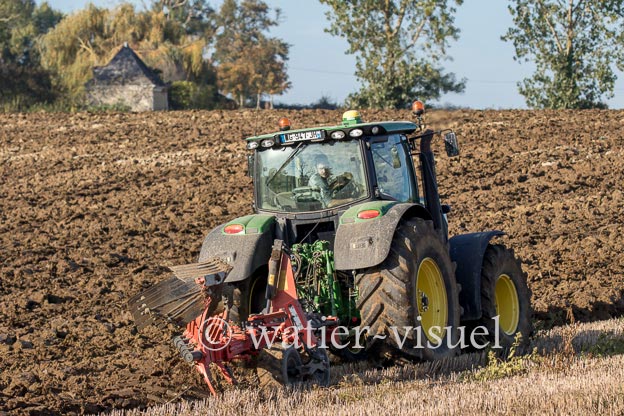 1169D350