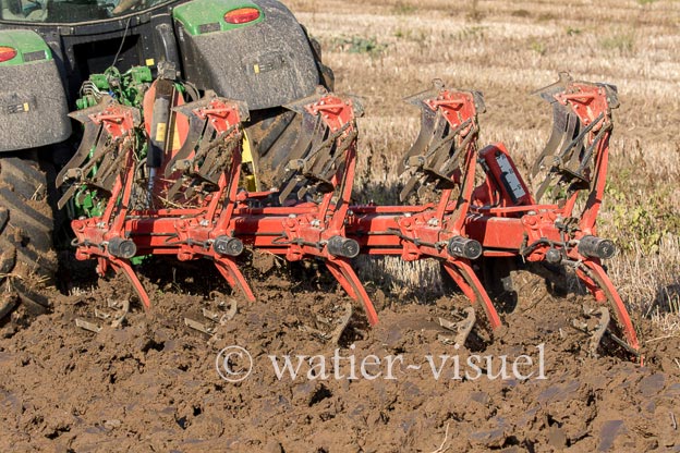 1169D395
