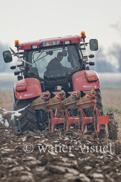 1169D450