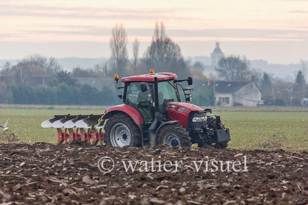 1169D480