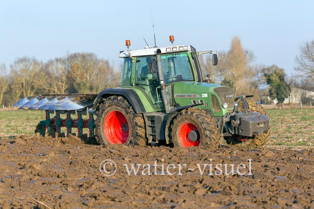 1169D697