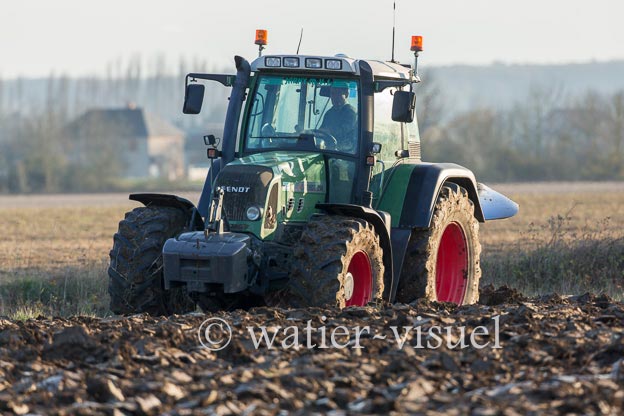 1169D715