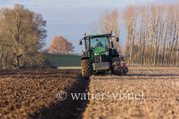 1169D890