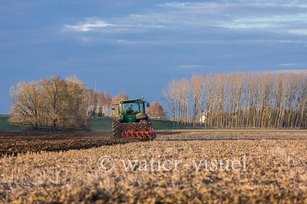 1169D950