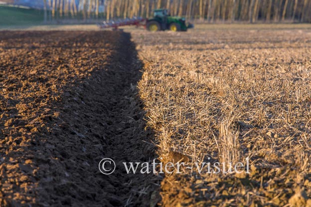 1169D953