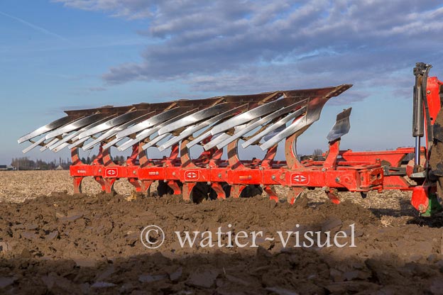 1169D964