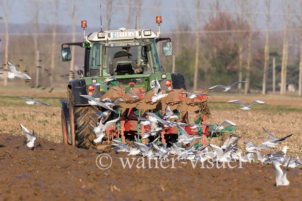 1170D049