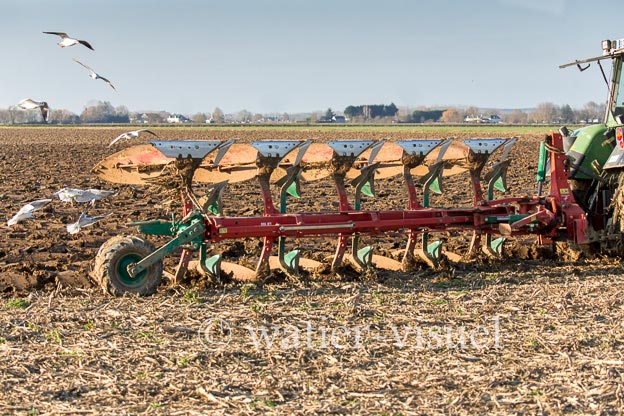 1170D122