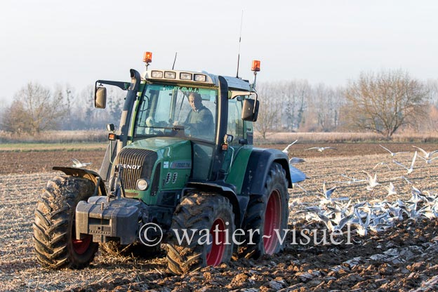 1170D145
