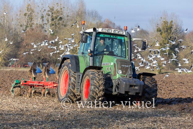 1170D169