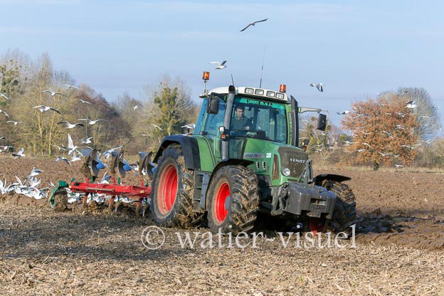 1170D170