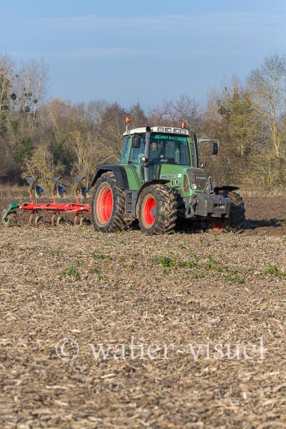1170D174