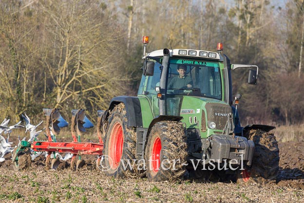 1170D182